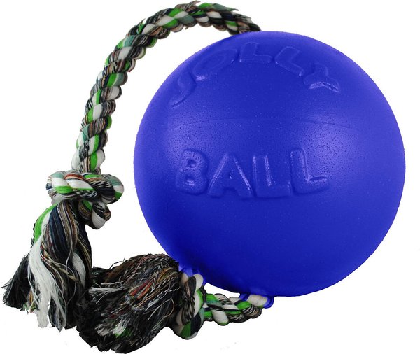 JOLLY PETS Romp-n-Roll Dog Toy, Blue, - Main Image