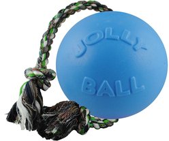 Jolly Pets Romp-n-Roll Dog Toy, Blueberry, 6-in