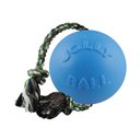 Jolly Pets Romp-n-Roll Dog Toy, Blueberry, 8-in