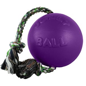 Jolly Pets Romp-n-Roll Dog Toy, Purple, 4.5-in