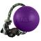 Show in main carousel: Jolly Pets Romp-n-Roll Dog Toy, Purple, 4.5-in slide 1 of 5