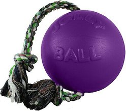 Jolly Pets Romp-n-Roll Dog Toy, Purple, 6-in