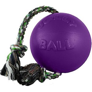 Jolly Pets Romp-n-Roll Dog Toy, Purple, 6-in