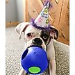 Show in main carousel: Jolly Pets Teaser Ball Dog Toy, Blue, 6-in slide 2 of 5