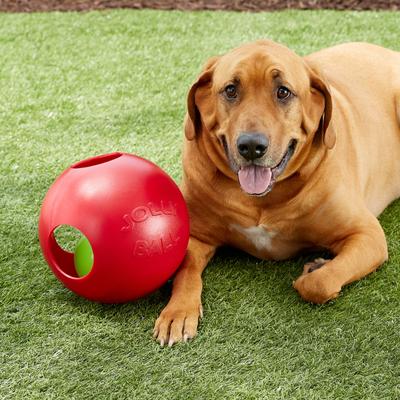 Show full view: Jolly Pets Teaser Ball Dog Toy, Red, 10-in slide 4 of 6