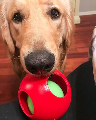 Show full view: Jolly Pets Teaser Ball Dog Toy, Red, 4.5-in slide 3 of 7