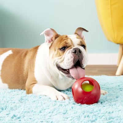 Show full view: Jolly Pets Teaser Ball Dog Toy, Red, 4.5-in slide 5 of 7