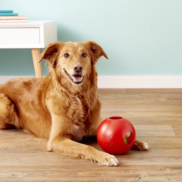 Jolly Pets Teaser Ball Dog Toy, Red