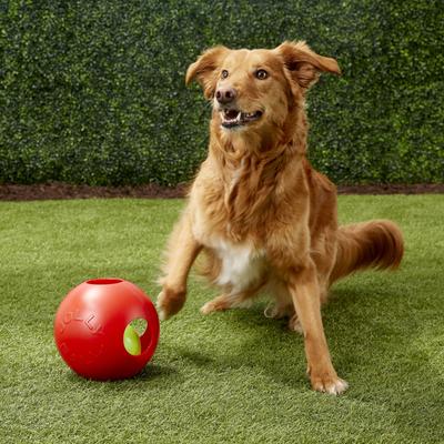 Show full view: Jolly Pets Teaser Ball Dog Toy, Red, 8-in slide 5 of 7