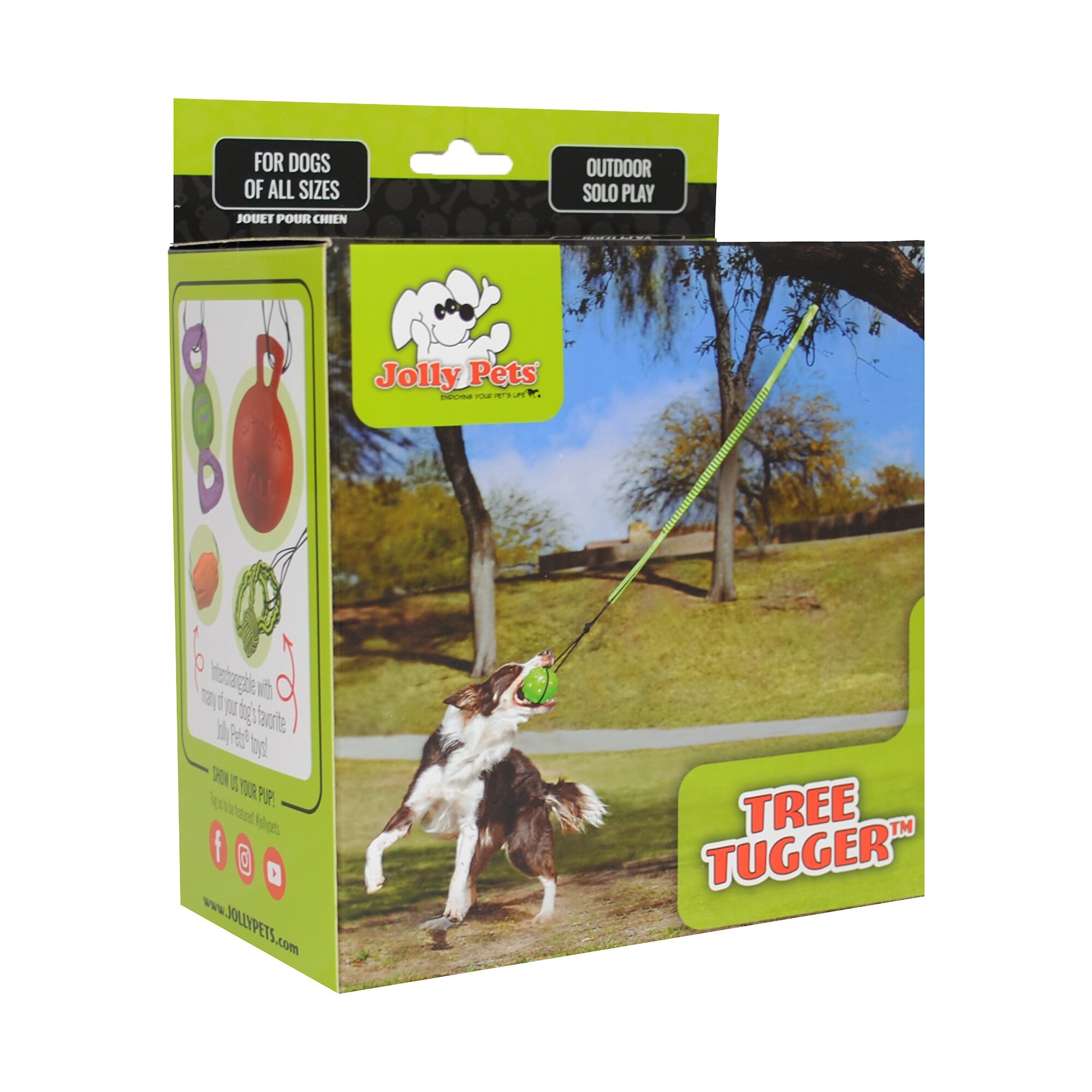Questions and Answers about JOLLY PETS Tree Tugger Rope Tug Dog Toy