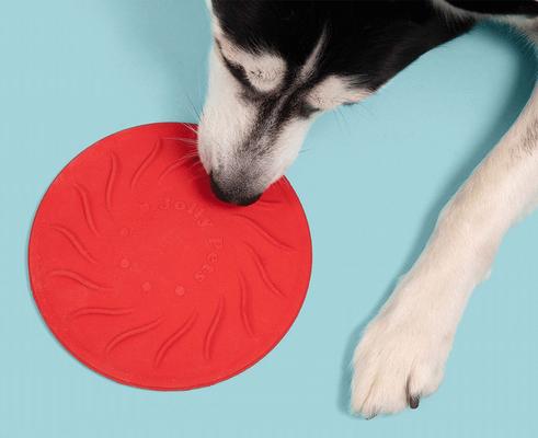 Show full view: Jolly Pets Tuff Flyer Dog Flying-Discs Toy, Red, 8.5-in slide 4 of 6
