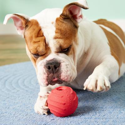 Show full view: Jolly Pets Tuff Tosser Dog Toy, 3-in slide 5 of 7