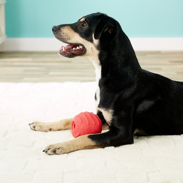 Jolly Pets Tuff Tosser Dog Toy