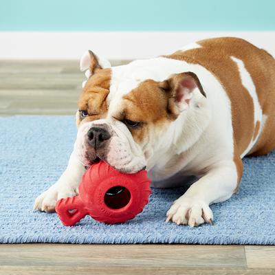 Show full view: Jolly Pets Tuff Treader Dog Toy, 4.5-in slide 4 of 6