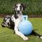 Show in main carousel: Jolly Pets Tug-n-Toss Dog Toy, Blueberry, 10-in slide 2 of 6
