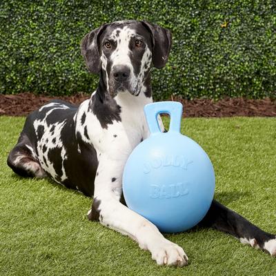 Show full view: Jolly Pets Tug-n-Toss Dog Toy, Blueberry, 10-in slide 2 of 6