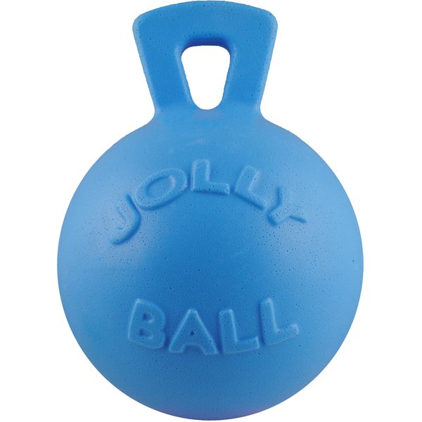 Jolly Pets Tug-n-Toss Dog Toy, Blueberry