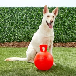 Jolly Pets Tug-n-Toss Dog Toy, Orange, 10-in slide 2 of 4