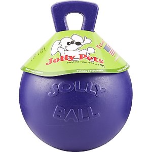 Jolly Pets Tug-n-Toss Dog Toy, Purple, 10-in