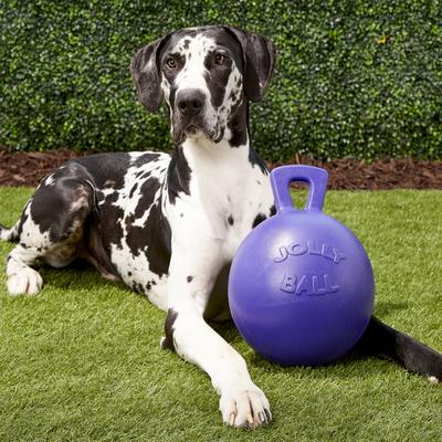 Jolly Pets Tug-n-Toss Dog Toy, Purple