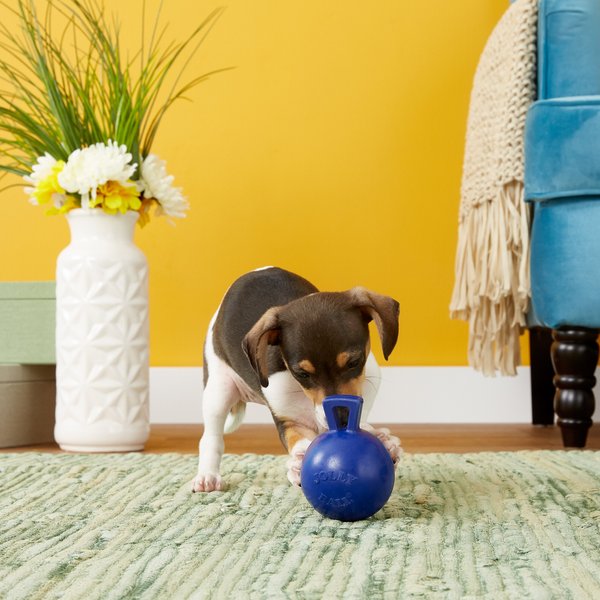 Show full view: Jolly Pets Tug-n-Toss Mini Dog Toy, Blue, 3-in slide 3 of 6