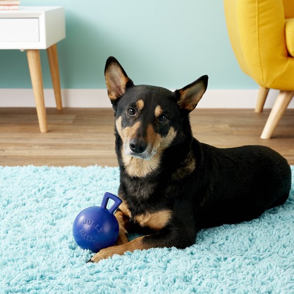 Show full view: Jolly Pets Tug-n-Toss Mini Dog Toy, Blue, 4-in slide 3 of 6