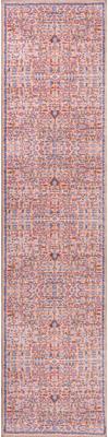 Show full view: JONATHAN Y Kemer All-Over Persian Machine-Washable Dog & Cat Rug, Multi, 2 x 8-ft slide 9 of 10