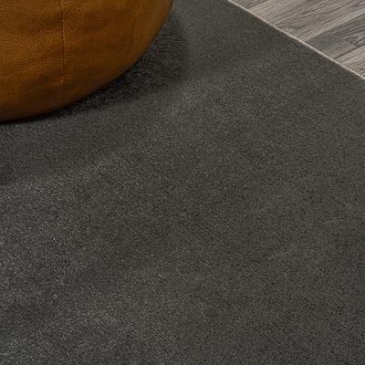 JONATHAN Y Twyla Classic Solid Low-Pile Machine-Washable Dog & Cat Area Rug
