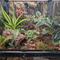 Show in main carousel: Josh's Frogs ABG Mix Reptile Substrate, 1-gal bag slide 8 of 9
