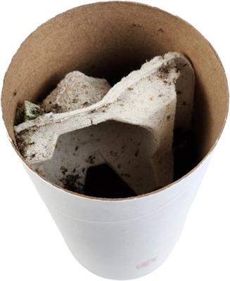 Show full view: Josh's Frogs Banded Crickets Live Feed Reptile Food, 1000 count slide 5 of 10