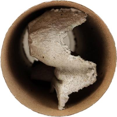 Show full view: Josh's Frogs Banded Crickets Live Feed Reptile Food, 500 count slide 4 of 11