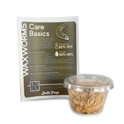 Show full view: Josh's Frogs Bearded Dragon Feeder Bundle, Juvenile slide 6 of 10