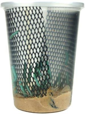 Show full view: Josh's Frogs Bearded Dragon Feeder Bundle, Juvenile slide 8 of 10