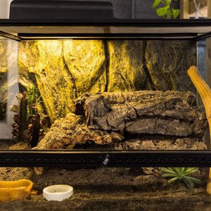 Josh's Frogs BioBedding Desert Bioactive Reptile Substrate, 10-qt bag