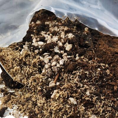 Show full view: Josh's Frogs BioBedding Hermit Crab Bioactive Reptile Substrate, 10-qt bag slide 6 of 9