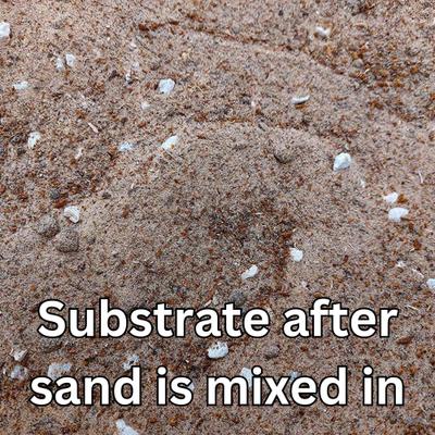 Show full view: Josh's Frogs BioBedding Hermit Crab Bioactive Reptile Substrate, 10-qt bag slide 7 of 9