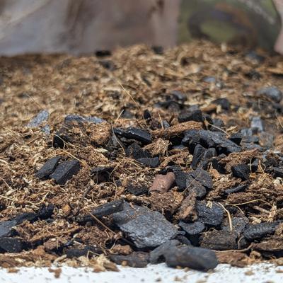 Show full view: Josh's Frogs BioBedding Tropical Bioactive Reptile Substrate, 4-qt bag slide 5 of 8