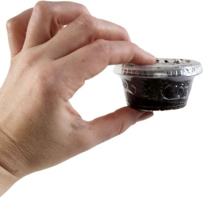 Show full view: Josh's Frogs Black Soldier Fly Larvae Live Feed Reptile Food, X-Small, 250 count slide 6 of 10