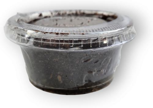 Show full view: Josh's Frogs Black Soldier Fly Larvae Live Feed Reptile Food, X-Small, 250 count slide 5 of 10