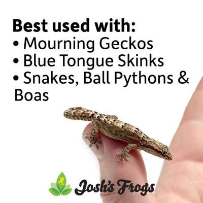 Show full view: Josh's Frogs Coco Husk Brick Reptile Substrate, 1.43-lbs, 3 count slide 8 of 9