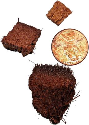 Show full view: Josh's Frogs Coco Husk Brick Reptile Substrate, 6-qt, 1 count slide 7 of 9