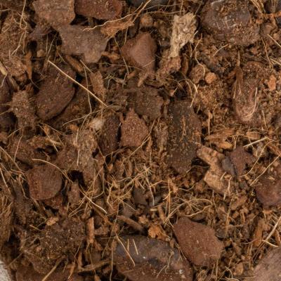 Show full view: Josh's Frogs Coco Select Reptile Substrate, 10-qt bag slide 5 of 9