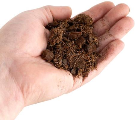 Show full view: Josh's Frogs Coco Select Reptile Substrate, 10-qt bag slide 7 of 9