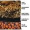 Show in main carousel: Josh's Frogs Dart Frog BioBedding, 4-qt bag slide 6 of 8