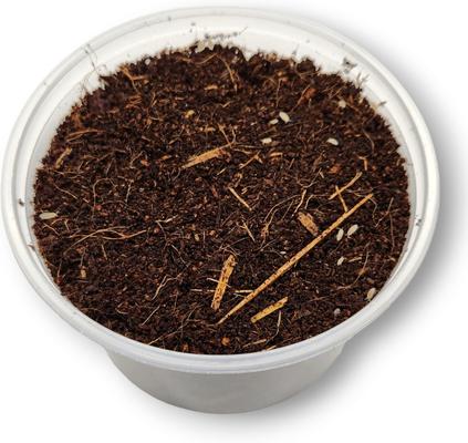 Show full view: Josh's Frogs Dwarf Tropical White Isopods Live Feed Reptile Food, 100 count slide 4 of 9