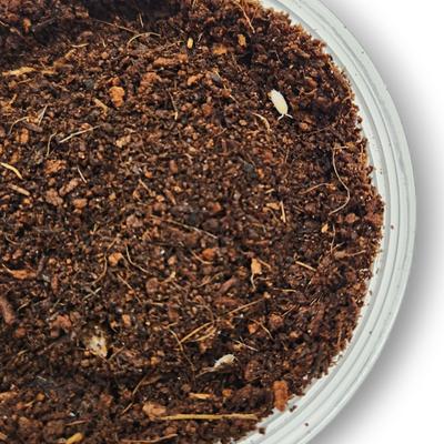 Show full view: Josh's Frogs Dwarf Tropical White Isopods Live Feed Reptile Food, 25 count slide 9 of 9