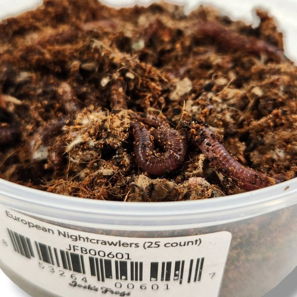 Josh's Frogs European Nightcrawlers Live Feed Reptile Food, 25 count