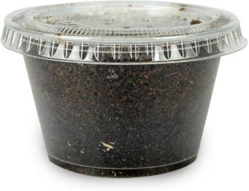 Show full view: Josh's Frogs Fat Tail Gecko Feeder Bundle, Adult slide 7 of 10