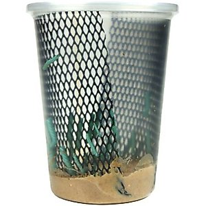 Josh's Frogs Fat Tail Gecko Feeder Bundle, Adult