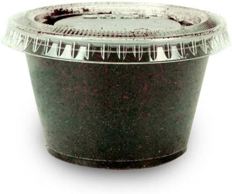 Show full view: Josh's Frogs Fat Tail Gecko Feeder Bundle, Juvenile slide 6 of 10